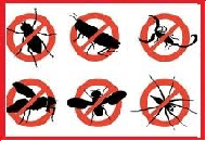 INSETTICIDI (NON BIO) MOSCHE-ZANZARE-STRISCIANTI (DA DILUIRE)