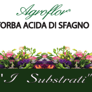 TORBA ACIDA DI SFAGNO