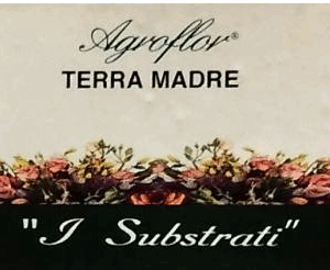 TERRA MADRE