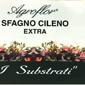 SFAGNO CILENO EXTRA