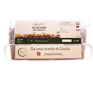 MIX ALOCASIE PRONTO DA UNA RICETTA DI GIULIA  _theplantsitter_
