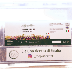 MIX ANTHURIUM PRONTO DA UNA RICETTA DI GIULIA _theplantsitter_