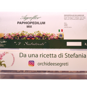 MIX PAPHIOPEDILUM PRONTO DA UNA RICETTA DI STEFANIA orchideesegreti