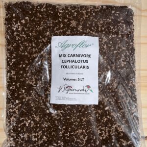 SUBSTRATO CARNIVORE CEPHALOTUS FOLLICULARIS