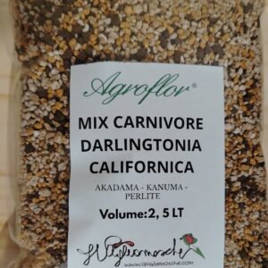 SUBSTRATO CARNIVORE DARLINGTONICA CALIFORNICA